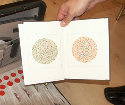 Können Sie es lesen? Bei der Farbsehschwäche können Rot-Grün-Werte nicht voneinder unterschieden werden, sind die Zahlen 8 und 5 also 